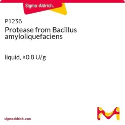 Протеаза из Bacillus amyloliquefaciens