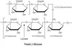 Литиказа из Arthrobacter luteus