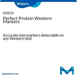 Маркеры Perfect Protein для вестерн-блоттинга