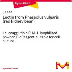 Лейкоагглютинин PHA-L (лектин из Phaseolus vulgaris)