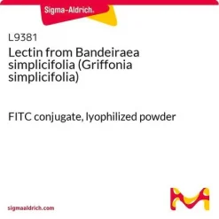 Лектин из Bandeiraea simplicifolia (Griffonia simplicifolia) FITC-конъюгат