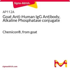 Антитело козье анти-IgG человека (конъюгат с щелочной фосфатазой)