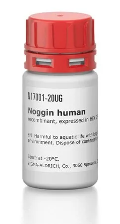 Ноггин человеческий рекомбинантный (Noggin human)