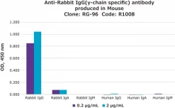 Моноклональное антитело к IgG кролика (γ-цепь специфичное), полученное на мыши