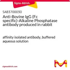 Антитело к бычьему IgG (Fc) – щелочная фосфатаза (ALP), кроличье