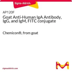 Антитела козьи к иммуноглобулинам человека (IgA, IgG, IgM) с FITC