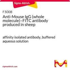 Антитело Anti-Mouse IgG FITC (целая молекула), полученное в овце