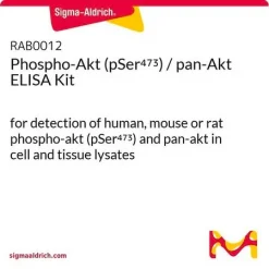 Набор ELISA для фосфо-Akt (pSer473) / pan-Akt