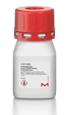Коллагеназа из Clostridium histolyticum