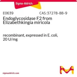Эндогликозидаза F2 из Elizabethkingia miricola