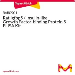 Набор ELISA для крысиного IGFBP-5 (Insulin-like Growth Factor-binding Protein 5)