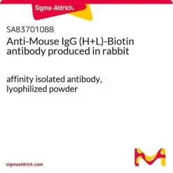 Антитело к IgG мыши (H+L) с биотином (кроличьи)
