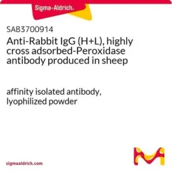 Антитела кроличьи IgG (H+L), конъюгированные с пероксидазой (HRP), лиофилизированный порошок