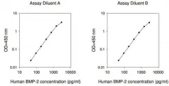 Набор для ИФА BMP2 человека (Human BMP2 ELISA Kit)