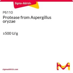 Протеаза из Aspergillus oryzae