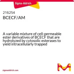 BCECF/AM