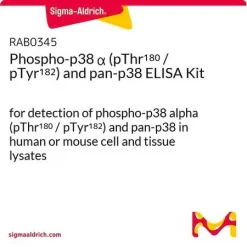 Набор ELISA для фосфо-p38 α (pThr180 / pTyr182) и pan-p38
