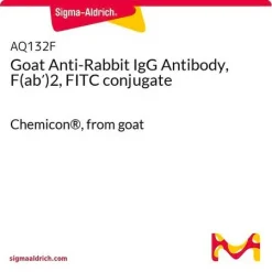 Антитело козье против IgG кролика (F(ab')2, FITC)