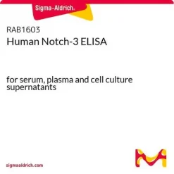 Notch-3 ELISA набор
