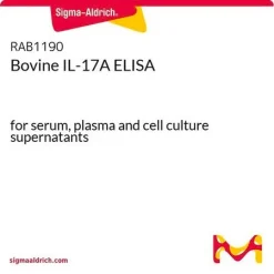 Bovine IL-17A ELISA