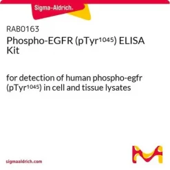 Набор ELISA для фосфо-EGFR (pTyr1045)