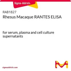 Набор ELISA для RANTES (CCL5) макака-резус