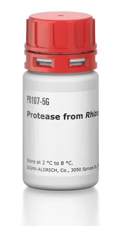 Протеаза из Rhizopus sp.