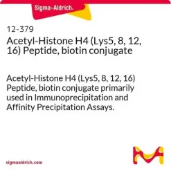 Ацетил-гистон H4 (Lys5,8,12,16) пептид, конъюгат с биотином