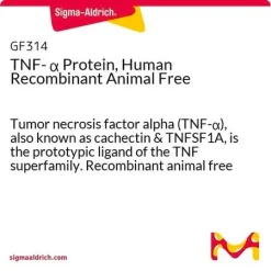 Фактор некроза опухоли альфа (TNF-α) человеческий рекомбинантный без животных компонентов
