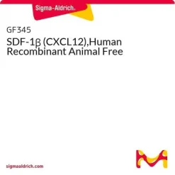 SDF-1β (CXCL12) рекомбинантный человеческий
