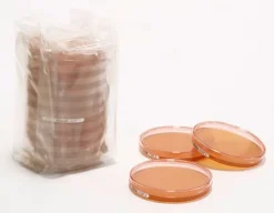 Агар Сабуро с декстрозой (SDA)