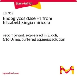 Эндогликозидаза F1 из Elizabethkingia miricola