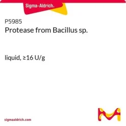 Протеаза из Bacillus sp.