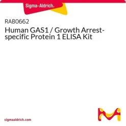 Набор ELISA для GAS1 человека (Growth Arrest-specific Protein 1)
