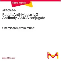 Антитело кролика против IgG мыши, конъюгат с AMCA
