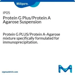 Суспензия агарозы с белком G Plus/белком A