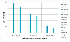 Антитело Anti-Mouse IgG2b-Biotin (кролик, моноклональное, клон RM108)