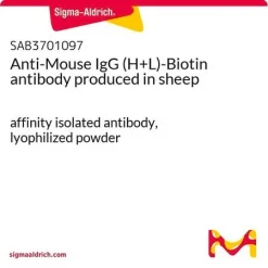 Антитело к IgG мыши (H+L) с биотином (овца)