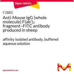 Антитело к IgG мыши (цельная молекула) F(ab')2 фрагмент–FITC (произведено в овце)