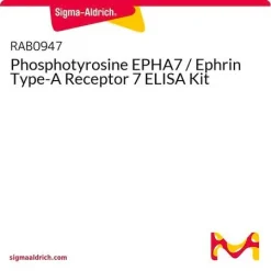 Набор для ELISA фосфотирозина EPHA7 / рецептора эфрина типа A 7
