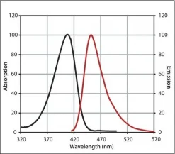 Антитела против IgG мыши (H+L), CF™ 405M (козьи)