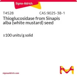 Тиоглюкозидаза из семян белой горчицы (Sinapis alba)