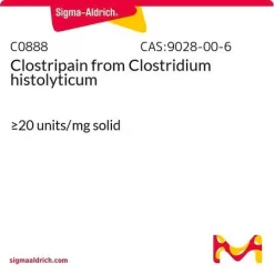Клострипаин из Clostridium histolyticum