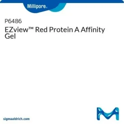 Аффинный гель Protein A красный