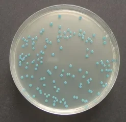 Обогатительная добавка для агара Listeria ChromoCult