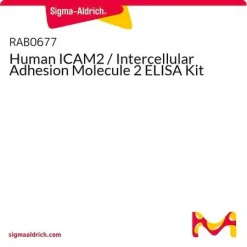 Набор ELISA для человеческого ICAM-2 (Intercellular Adhesion Molecule 2)