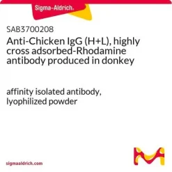 Антитело к куриному IgG (H+L) с родамином (ослиное)
