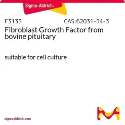 Фактор роста фибробластов из бычьего гипофиза (FGF)