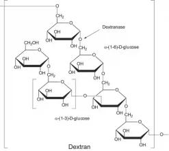 Декстраноза из Penicillium sp.