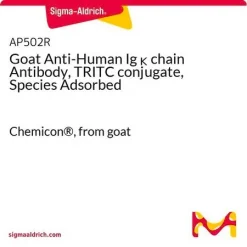 Антитело козье к Ig κ цепи человека, конъюгат с TRITC, видоспецифичное адсорбированное